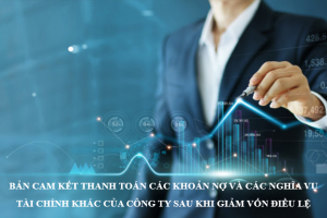 Bản cam kết thanh toán các khoản nợ và các nghĩa vụ tài chính khác của công ty sau khi giảm vốn điều lệ