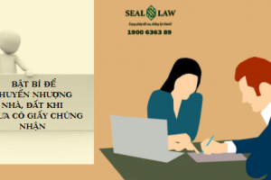 Bật Bí Để Chuyển Nhượng Nhà, Đất Khi Chưa Có Giấy Chứng Nhận